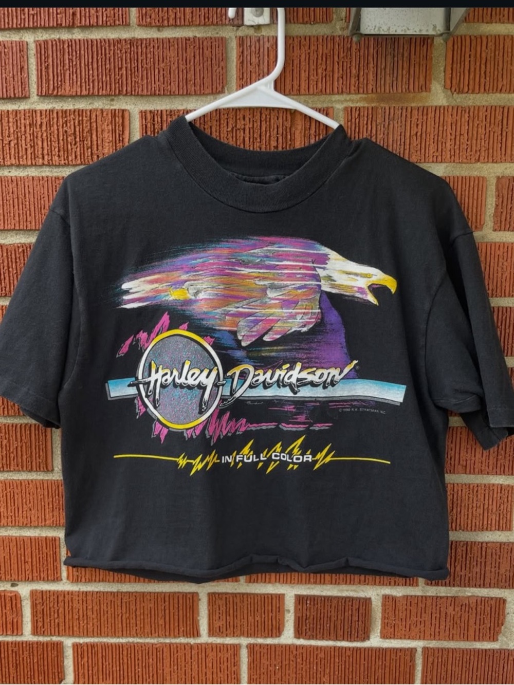 Harley-Davidson Black Eagle retro 1990 tank sturgis